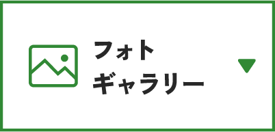 フォトギャラリー